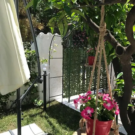 Il Canto Delle Sirene *