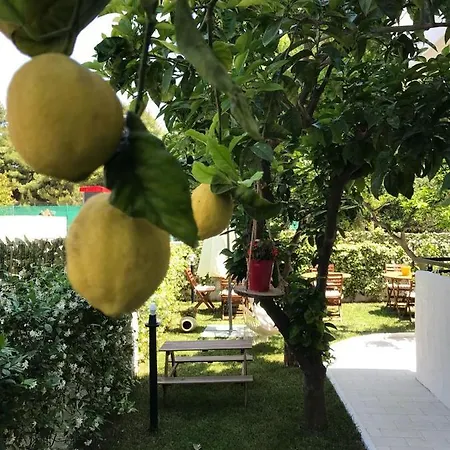 Il Canto Delle Sirene * Vieste