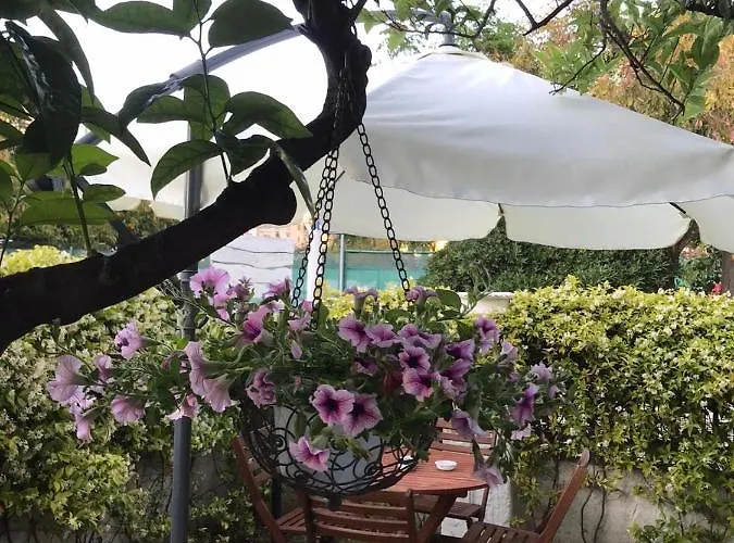 Il Canto Delle Sirene